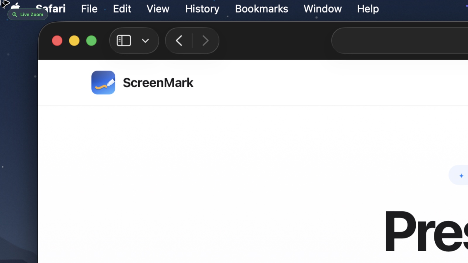 ScreenMark live zoom magnifying part of the screen